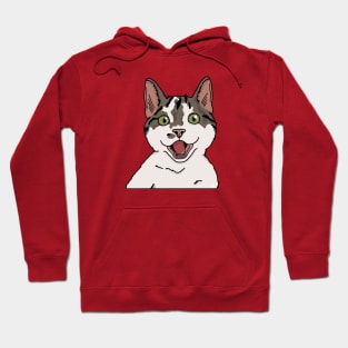 happy kitteh Hoodie